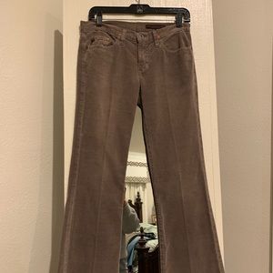 AG Taupe Angel cord jeans
